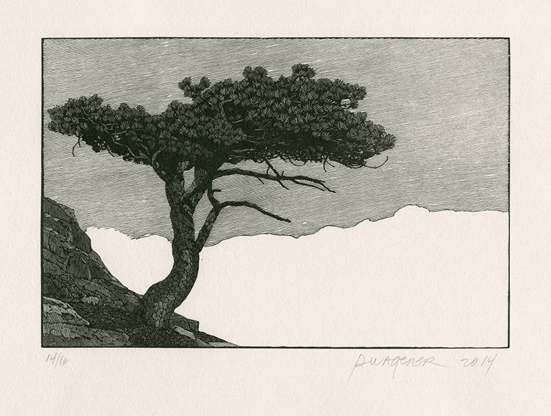 Donner Peak Tree #2 by Richard Wagener