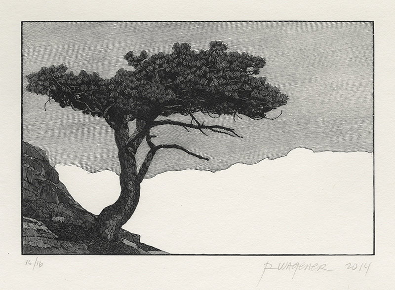 Donner Peak Tree #2 by Richard Wagener