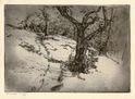 (tree and path in winter) by Allen Lewis