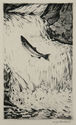 Salmon Leaping a Waterfall by William Joseph Schaldach