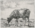 Schaap (sheep) - after Paulus Potter by Marcus de Bye