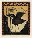 The Black Ibis by Judith K. Klausenstock