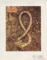 Pre Columbian Profile - from the Stamp series by Robert Fried
