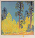 Pine and Aspen by Gustave Baumann