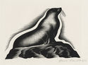 Seal (illustration for The Road of a Naturalist) by Paul Hambleton Landacre