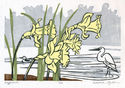 Daffodils by Edward Ryden