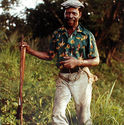 Man in Field from Tobago, West Indies by Carol Fisher