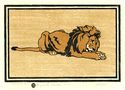 Lion by Elizabeth Norton