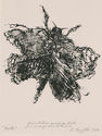 Moth (From the Portfolio BUGS) by Rudy O. Pozzatti