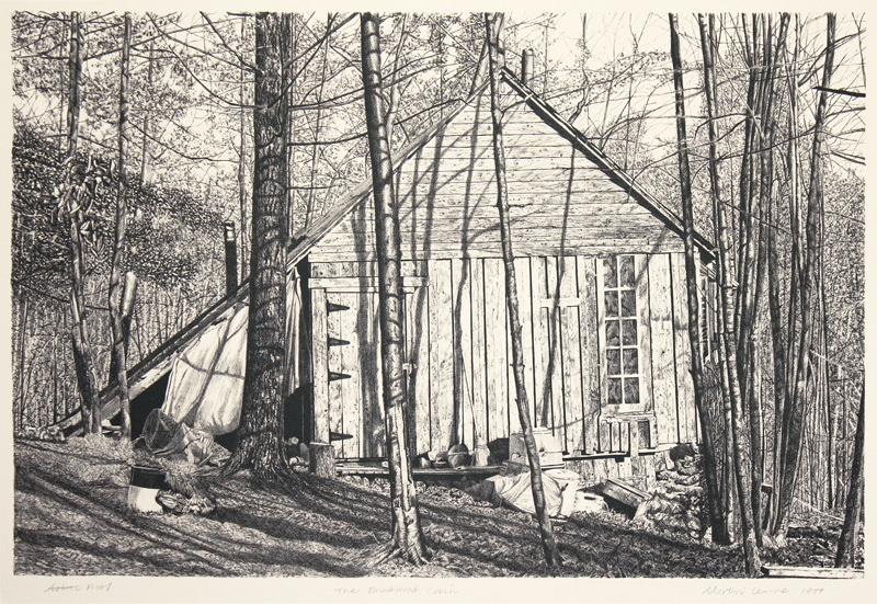 The Brookwood Cabin by Martin Levine