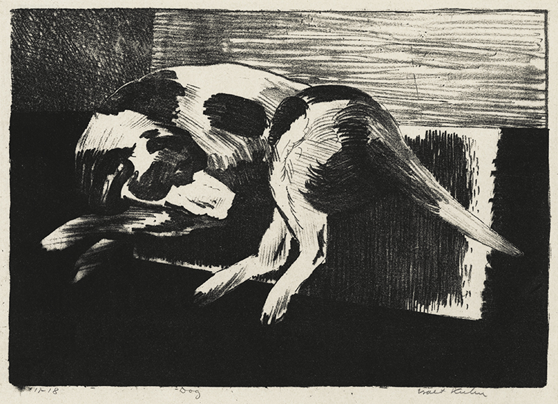 Dog by Walt Kuhn
