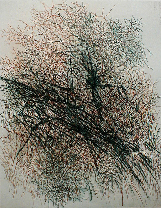 Thicket (from: A Genesis) by Gabor Peterdi