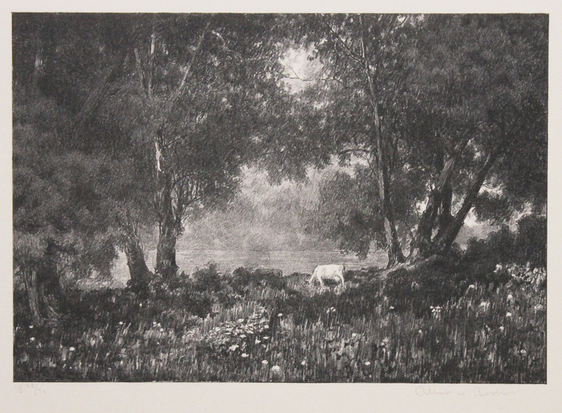 Enchanted Meadow by Albert Winslow Barker