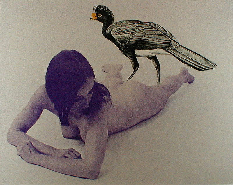 Curassow by Mel Ramos