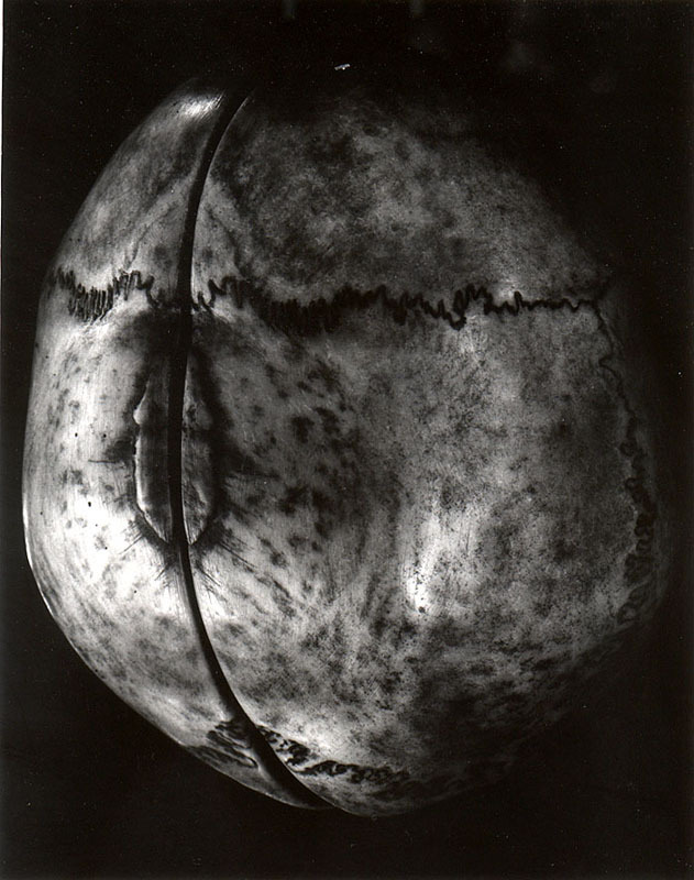 Tibetan sacred cup by Walter Chappell