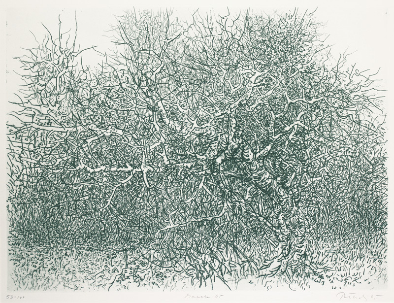 March by Gabor Peterdi