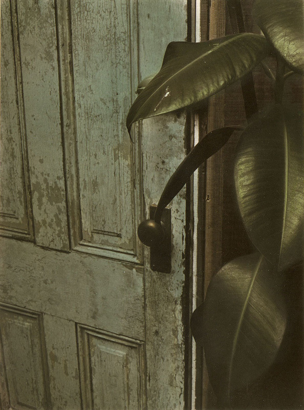 Images From Home (door with houseplant) by Patricia Mercer