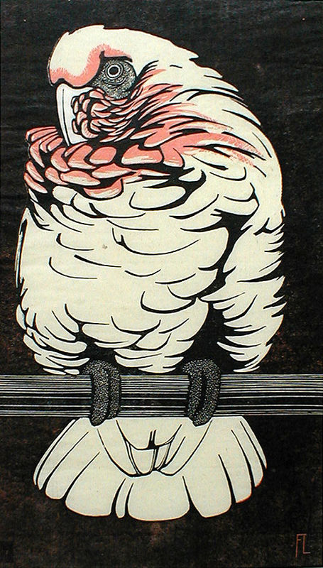 (Parrot) by Fritz Lang