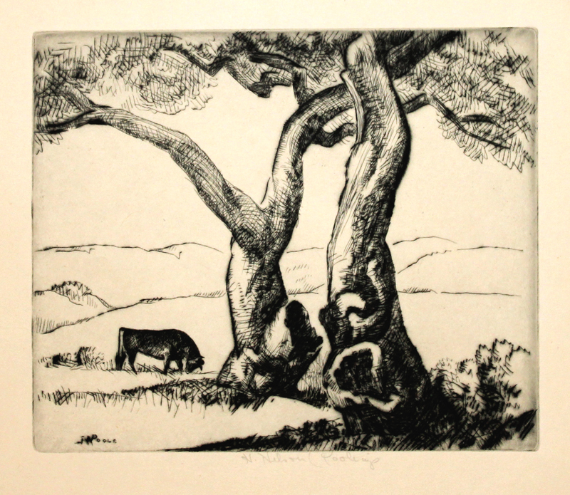 Old Oaks by Horatio Nelson Poole