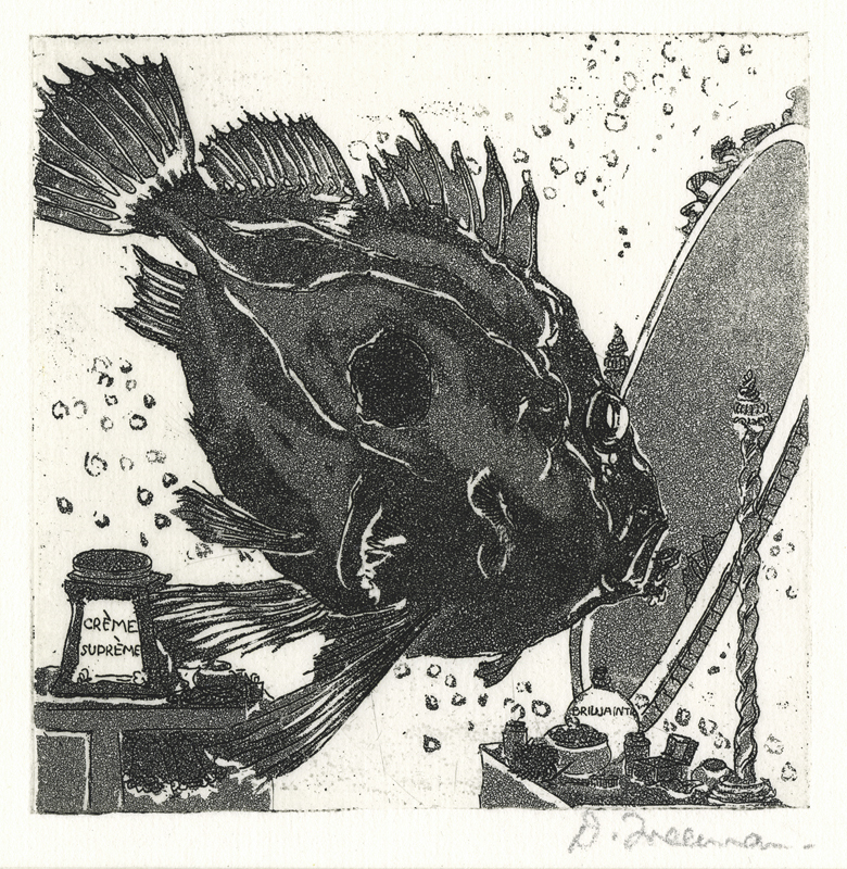 John Dory by Dolby Freeman