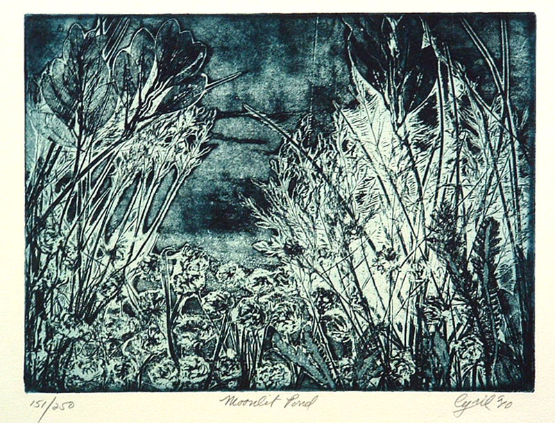 Moonlit Pond by Ruth Cyril