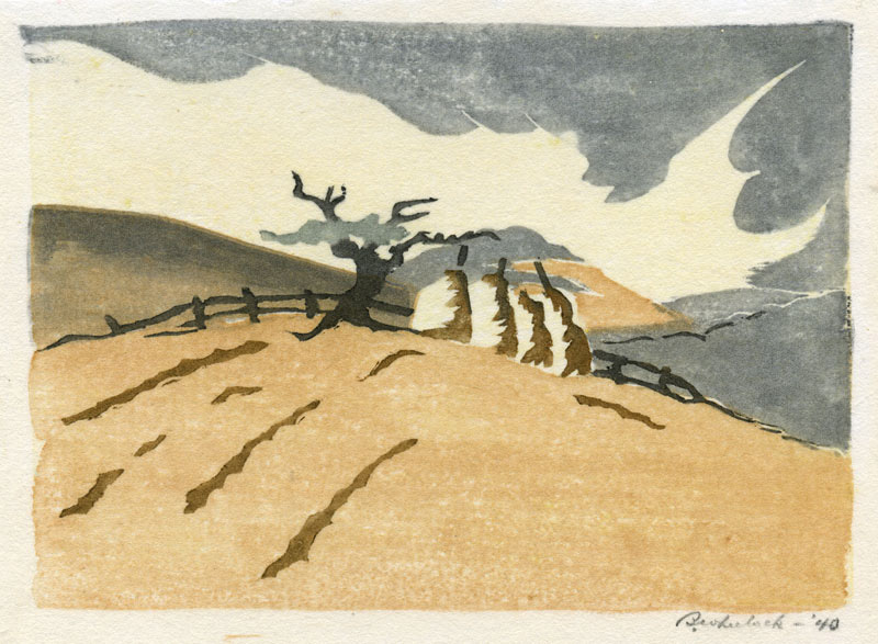 North Carolina Hay Stacks Approaching Storm by Beatrice McLeish