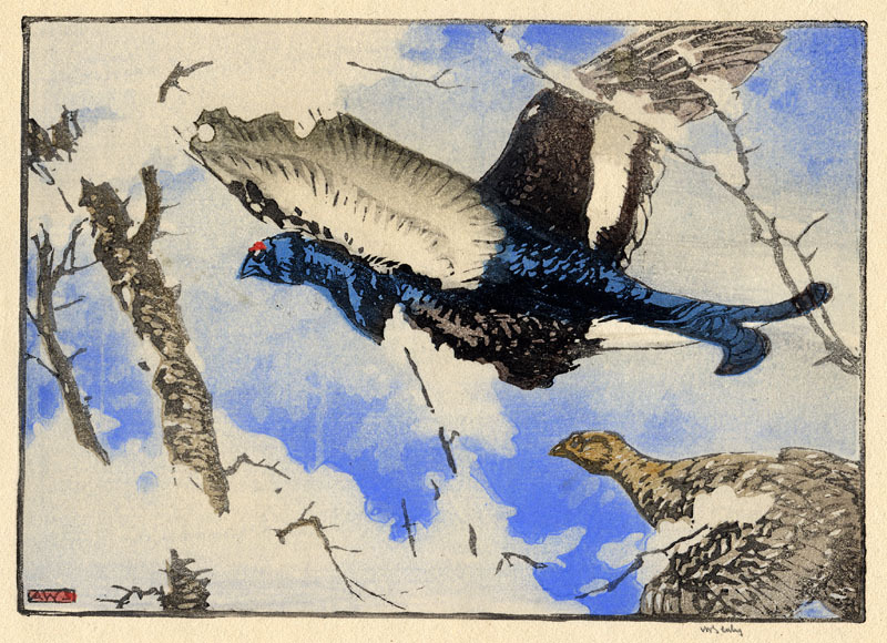 Blackcock and Greyhen by Allen William Seaby