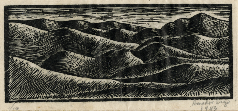 (Hillside) by Amador Lugo Guadarrama