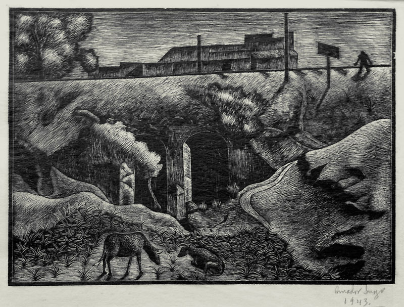 (Underpass, Mexico) by Amador Lugo Guadarrama