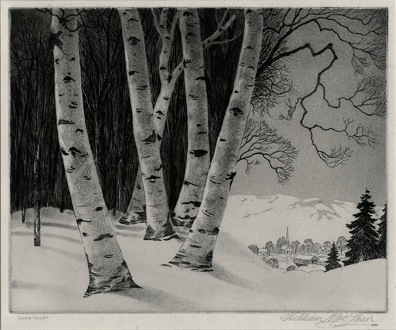 Snow Valley by William MacLean