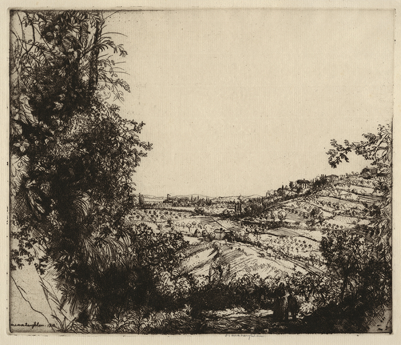 Olive Groves by Donald Shaw MacLaughlan