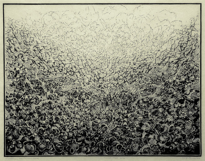 Sanatorium VIII (Wysoka Laka) by Jozef Gielniak