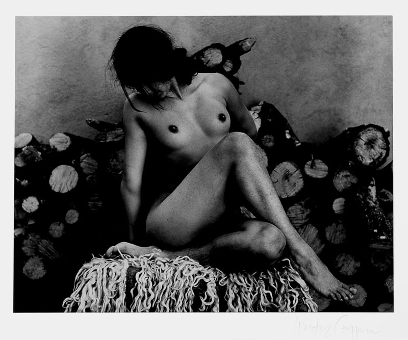 Nude/ Woodpile/ Santa Fe by Walter Chappell