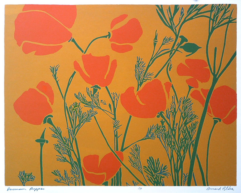 (Poppies) by Bernard Phillip Blake