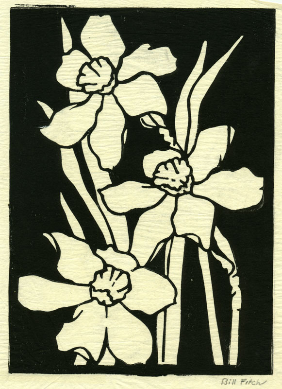 (daffodils) by William Miles Bill Fitch