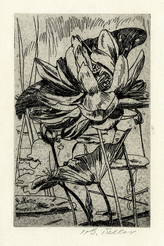 Lotus Blossom by Henry George Keller