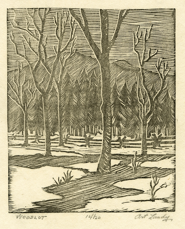 Woodlot by Art Landy
