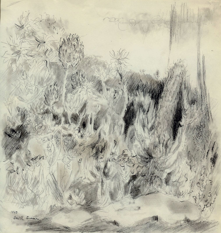 Untitled (foliage) by Dorothy Woodhead Brown