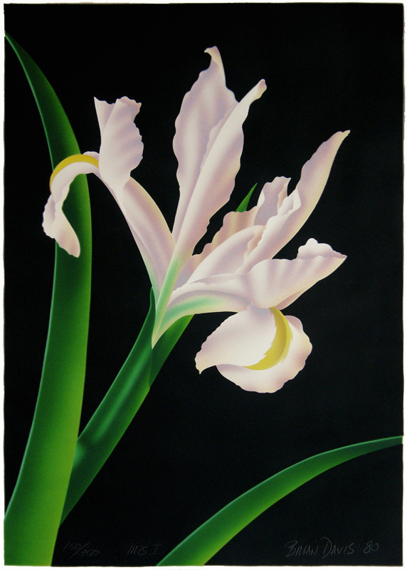 Iris I by Brian Davis