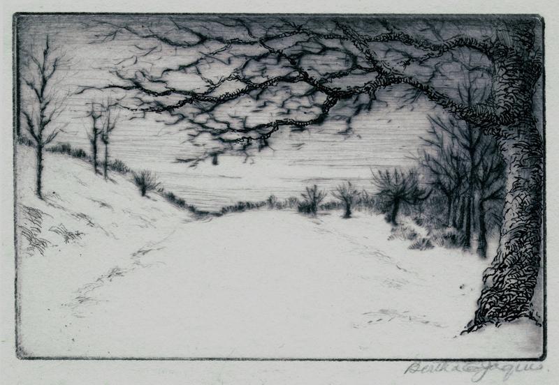 Winter in Washington Park by Bertha Evelyn Jaques