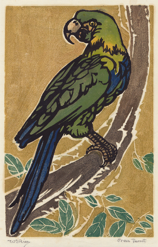 Green Parrot by William Seltzer Rice
