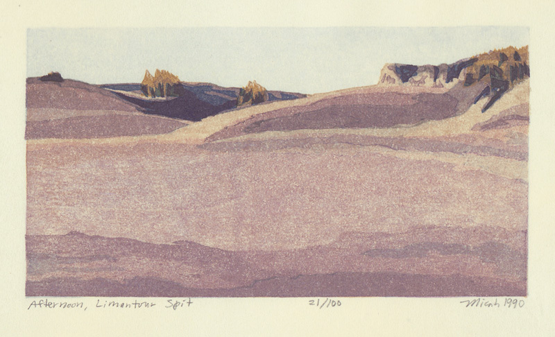 Afternoon, Limantour Spit  from: Point Reyes - A Suite of Color Woodblock Prints by Micah Schwaberow