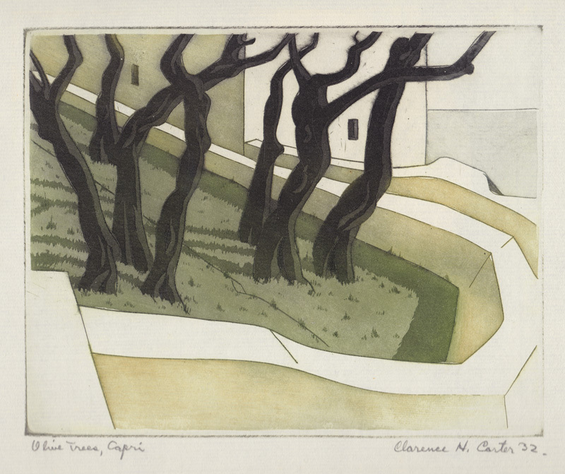 Olive Trees, Capri by Clarence Holbrook Carter