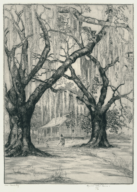 Low Country (South Carolina) by Elizabeth ONeill Verner