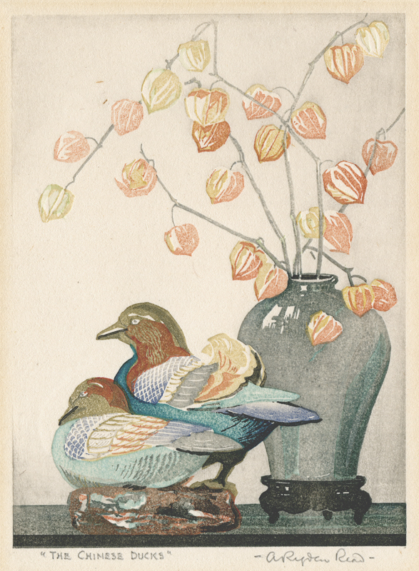 The Chinese Ducks by Arthur Rigden Read