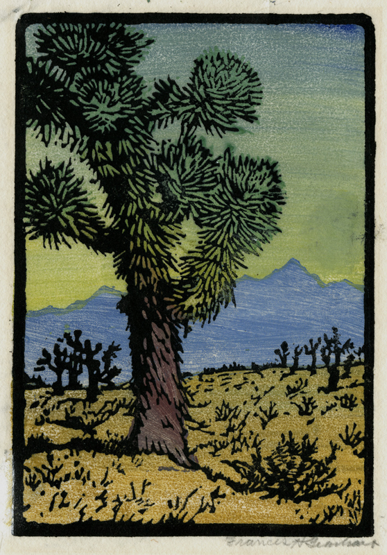 Joshua Tree by Frances Gearhart