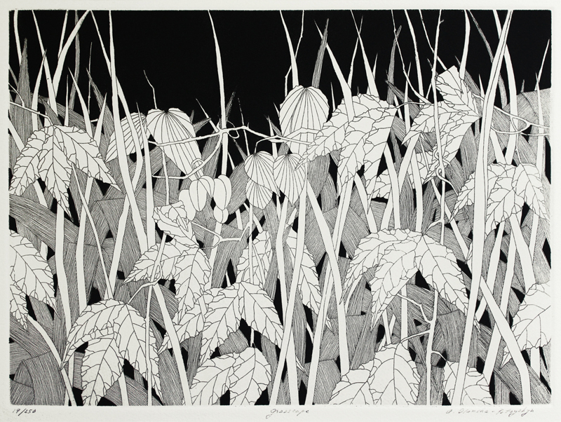 Grasscape by Arcadia Olenska-Petryshyn