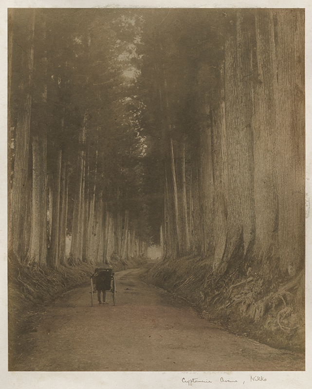Koshin, Stable, Nikko / Cryptomeria Avenue, Nikko by Kimbei Kusakabe