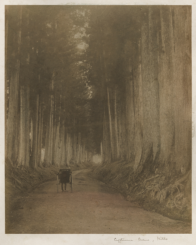 Koshin, Stable, Nikko / Cryptomeria Avenue, Nikko by Kimbei Kusakabe