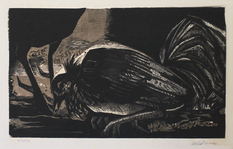 (Bird) by José R Alicea